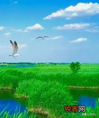 农村俗语：“男人要闯,女人要浪”如何理解这句老话俗语？