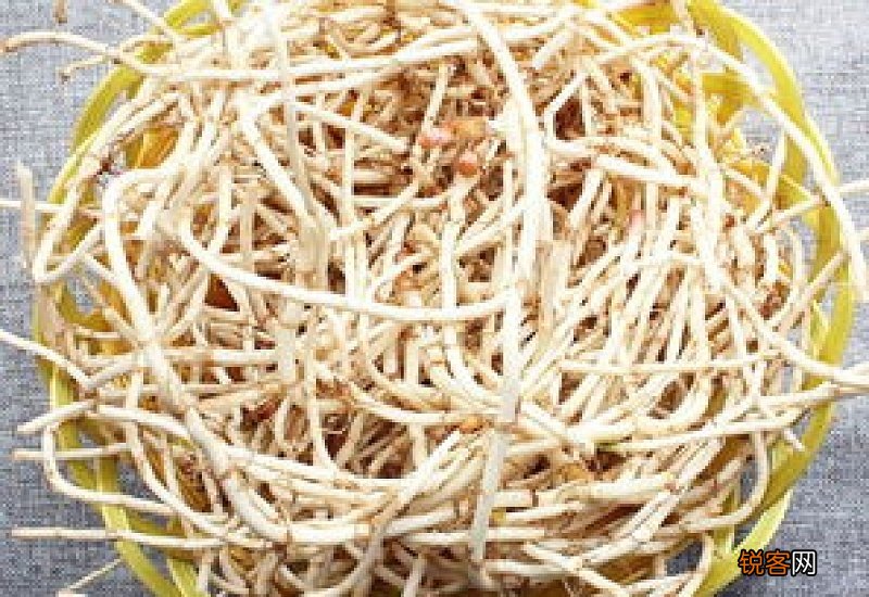 月经期可以吃鱼腥草吗 过量加剧子宫内寒气聚集