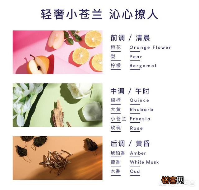 有哪些牌子是真正的氨基酸洗发水？
