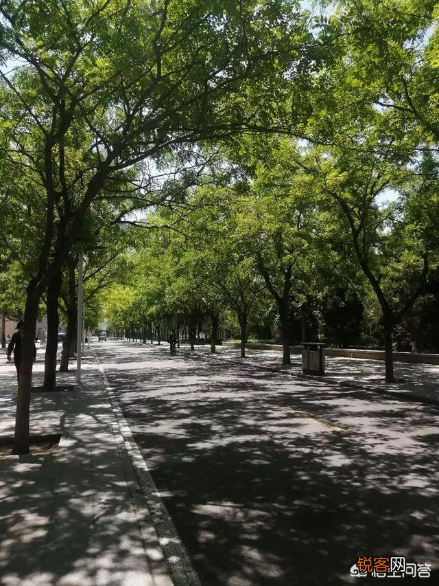 哪款控油洗发水比较好用？洗1次能顶5天,有亲测分享吗？