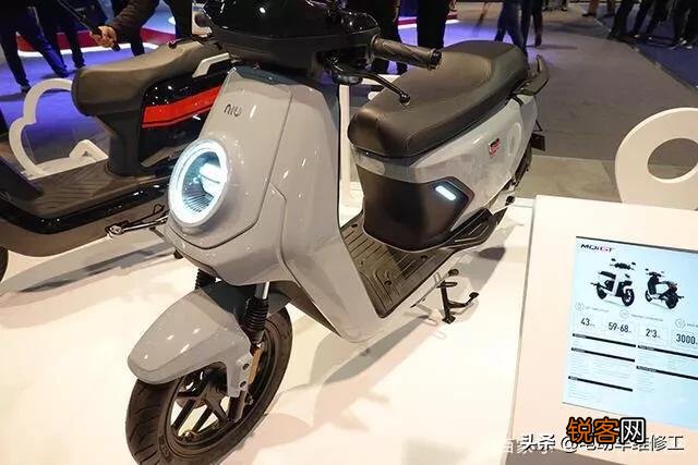 电动车排名靠前的,哪个牌子最受欢迎？