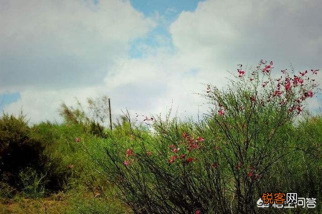 找湖北人做老公是什么体验？