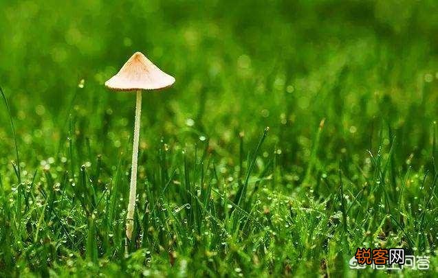 找湖北人做老公是什么体验？