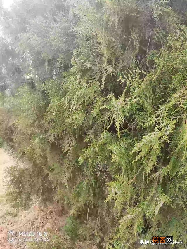 你知道多少关于爱国的中外古诗,名言警句,名人名言？