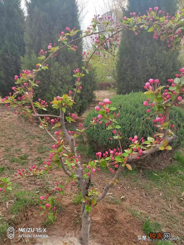 你知道多少关于爱国的中外古诗,名言警句,名人名言？