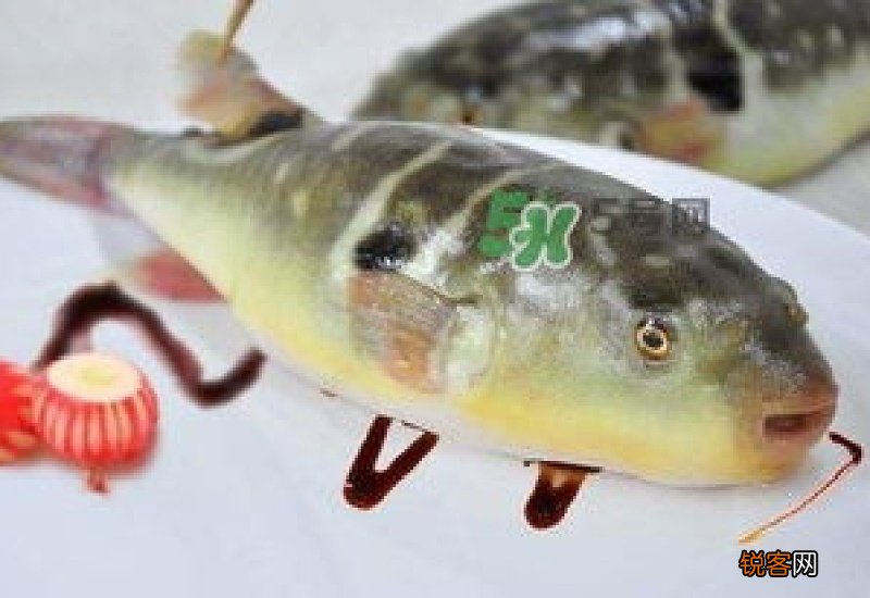 甲亢可以吃河豚吗