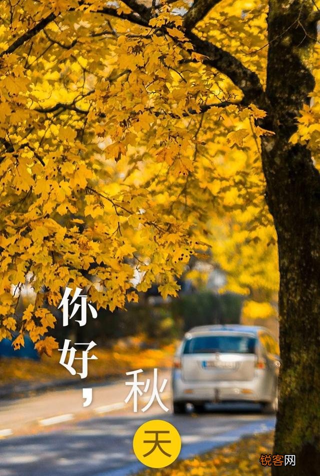 你最喜欢关于秋天的诗句是什么？