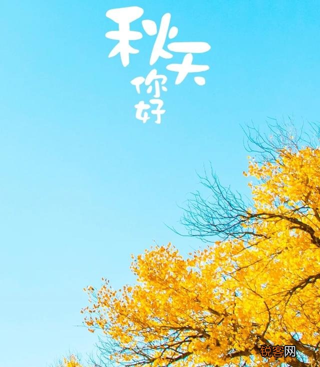 你最喜欢关于秋天的诗句是什么？