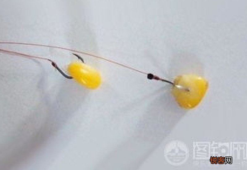 冰钓鲤鱼用什么钩子好