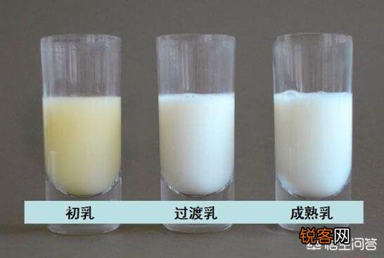 初乳好吗？初乳能给新生儿吃吗？