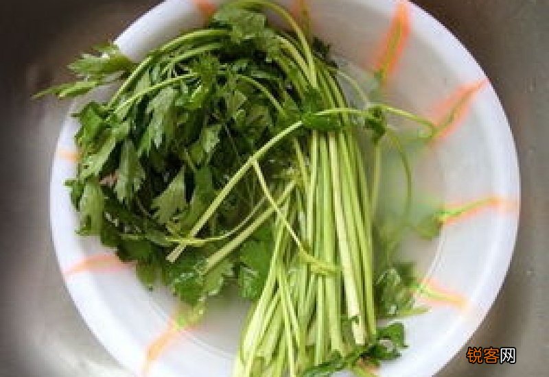 芹菜根的凉拌方法 芹菜根的凉拌方法大全