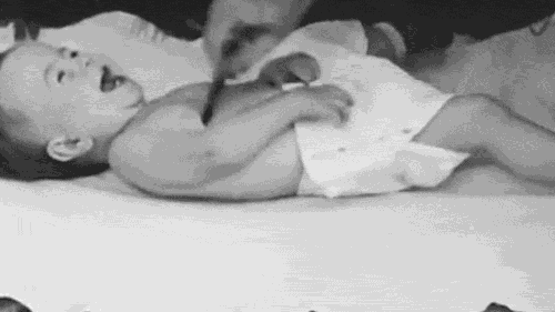 黑猩猩跟人类小孩一块养育,认为自己也是人类,后来它怎样了？