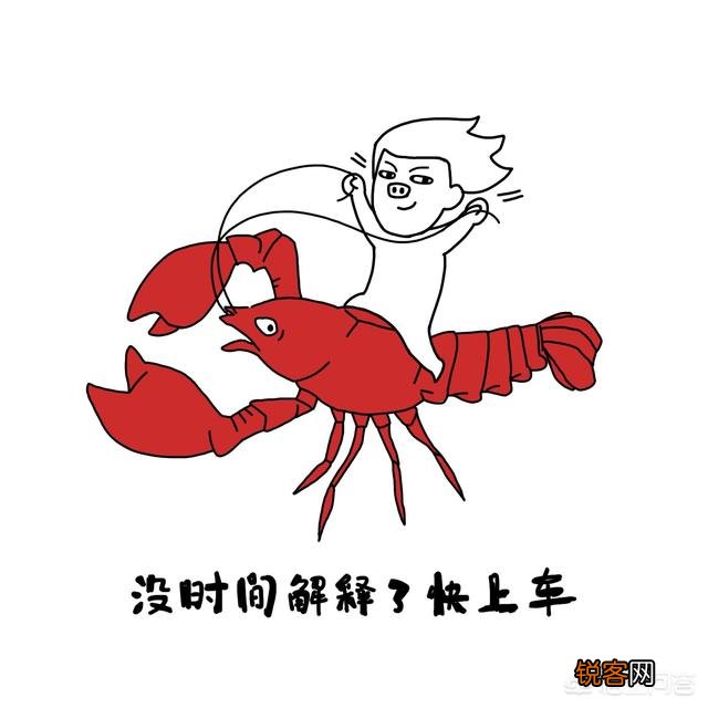 小龙虾走进高校成为专业,能培养出人才吗？