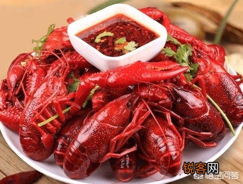 小龙虾走进高校成为专业,能培养出人才吗？