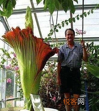 大家都听说过哪些特别的工作？