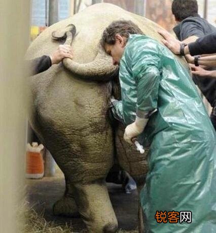 大家都听说过哪些特别的工作？