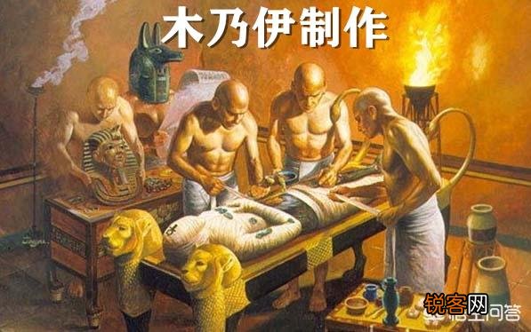 历史上有什么神奇职业？