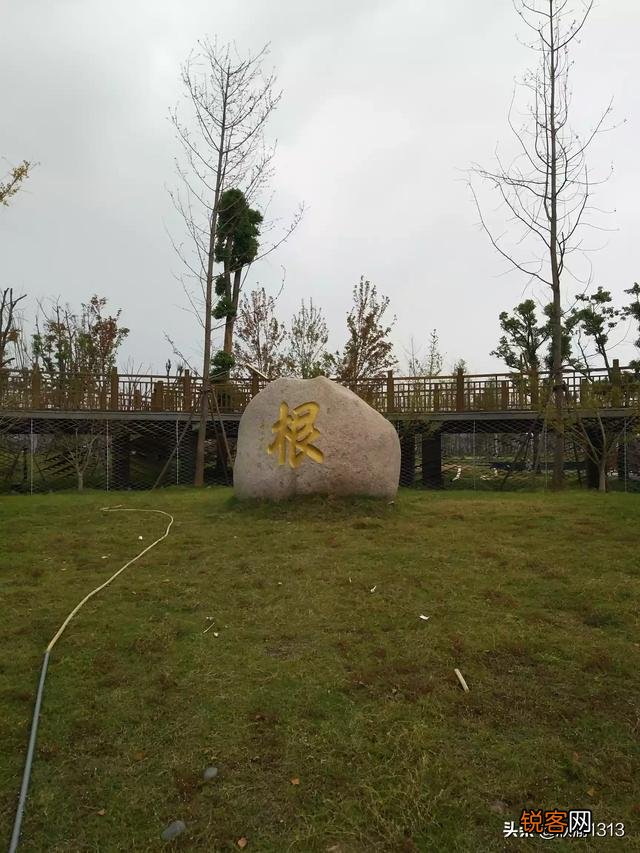 你觉得生活在大城市和小城市的区别在哪里？