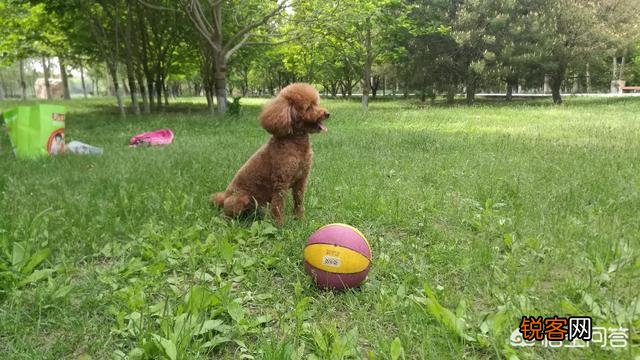 如果旅游的时候也可以赚钱,你会一直旅游吗？