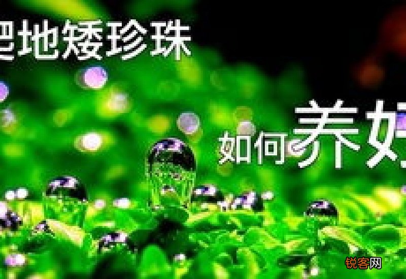 新手养鱼如何养水 养鱼口诀一三五七