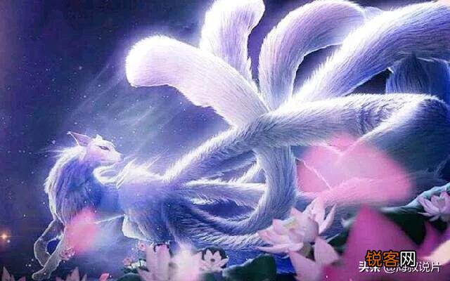 《封神演义》中妲己遵循女娲娘娘旨意祸乱商朝,为何女娲娘娘卸磨杀驴？