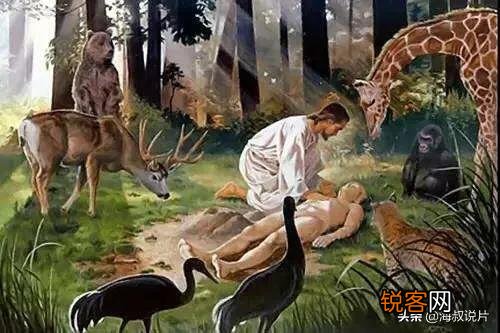 《封神演义》中妲己遵循女娲娘娘旨意祸乱商朝,为何女娲娘娘卸磨杀驴？