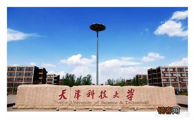 在天津除了南开和天大还有没有好的大学？