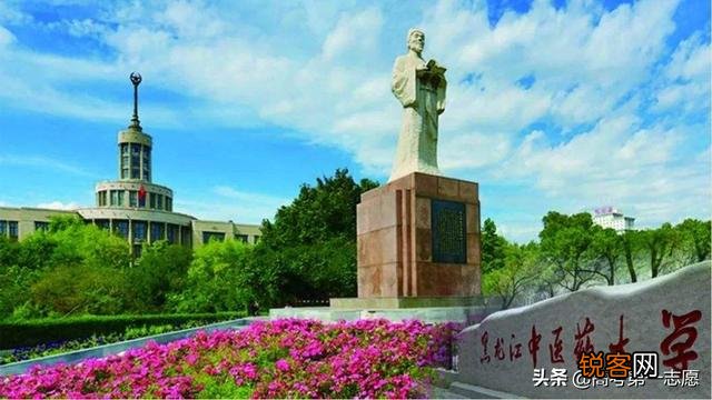 哈尔滨医科大学、西南医科大学、黑龙江中医药大学哪个更好？