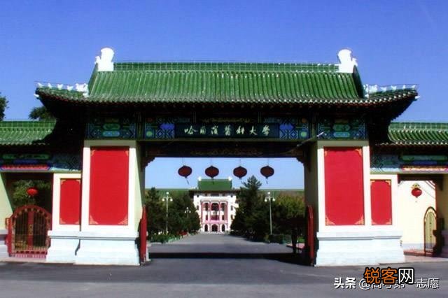 哈尔滨医科大学、西南医科大学、黑龙江中医药大学哪个更好？