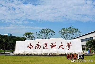 哈尔滨医科大学、西南医科大学、黑龙江中医药大学哪个更好？