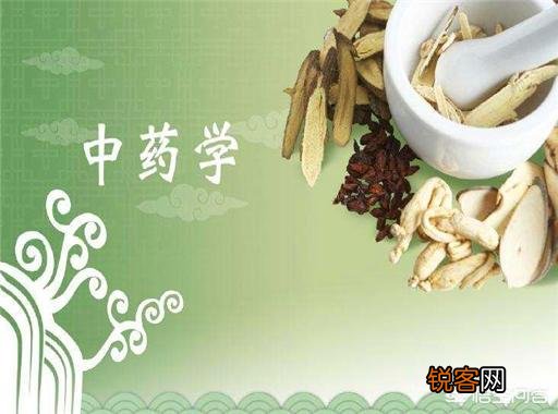 中医药专业最强的高校有哪些？