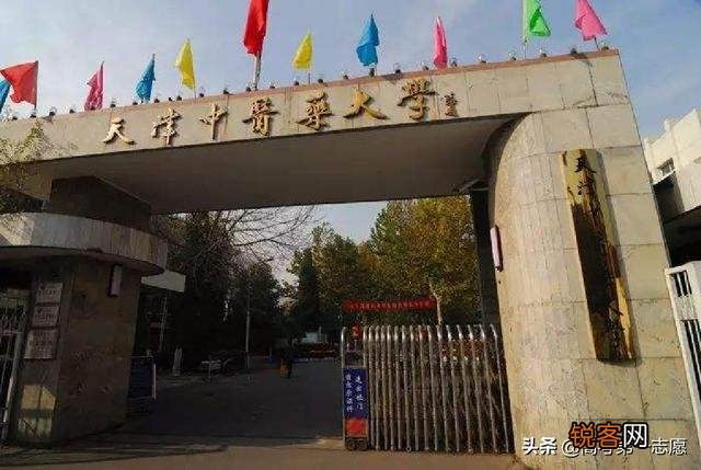 中医药专业最强的高校有哪些？