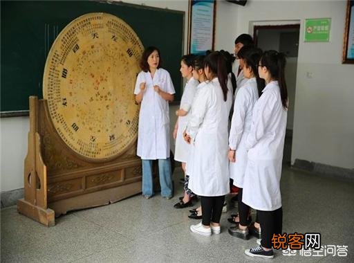 中医药专业最强的高校有哪些？