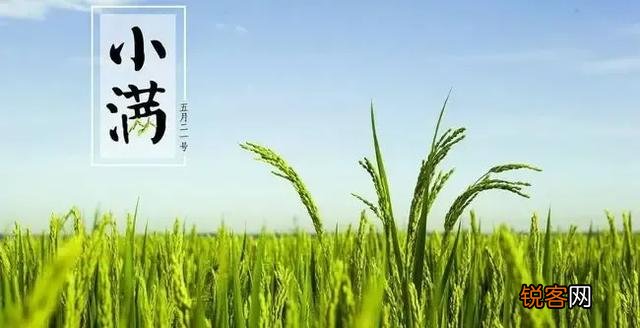 闻太师为什么没有看出妲己是狐狸精反而依然把妲己留在纣王身边？
