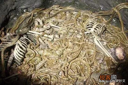 妲己奉命作恶,为何很少有人恨女娲娘娘？