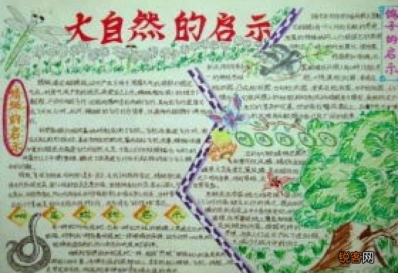 大自然的礼物中考作文