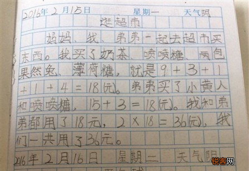 五年级数学日记600字怎么写范文