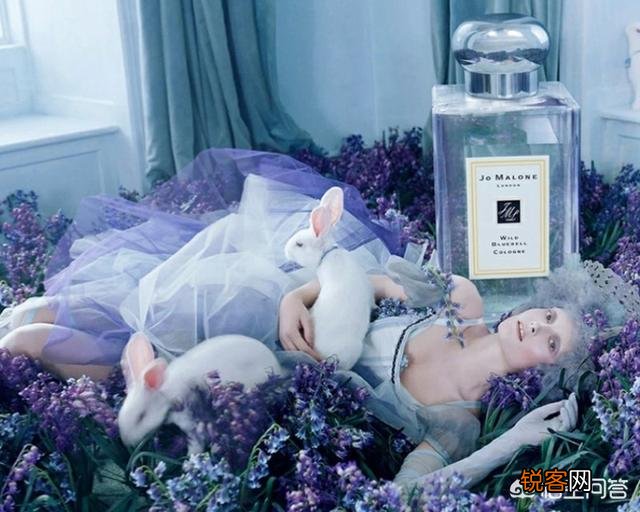 你最喜欢哪款香水呢？