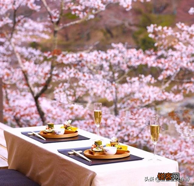 东京精品酒店有哪些？今年7月要去日本,求推荐几个？