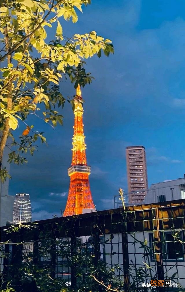 东京精品酒店有哪些？今年7月要去日本,求推荐几个？