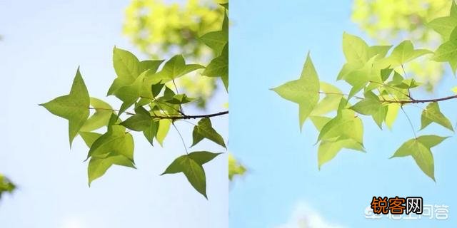 摄影后期什么版本的修图软件比较好,有哪些值得推荐的？