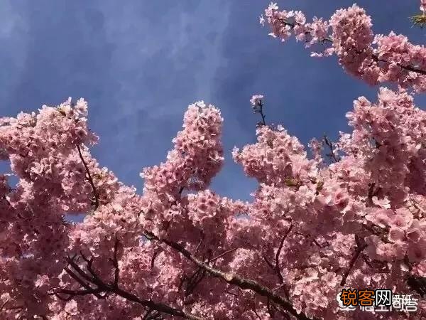 摄影后期什么版本的修图软件比较好,有哪些值得推荐的？