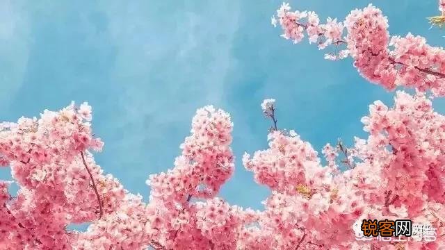 摄影后期什么版本的修图软件比较好,有哪些值得推荐的？