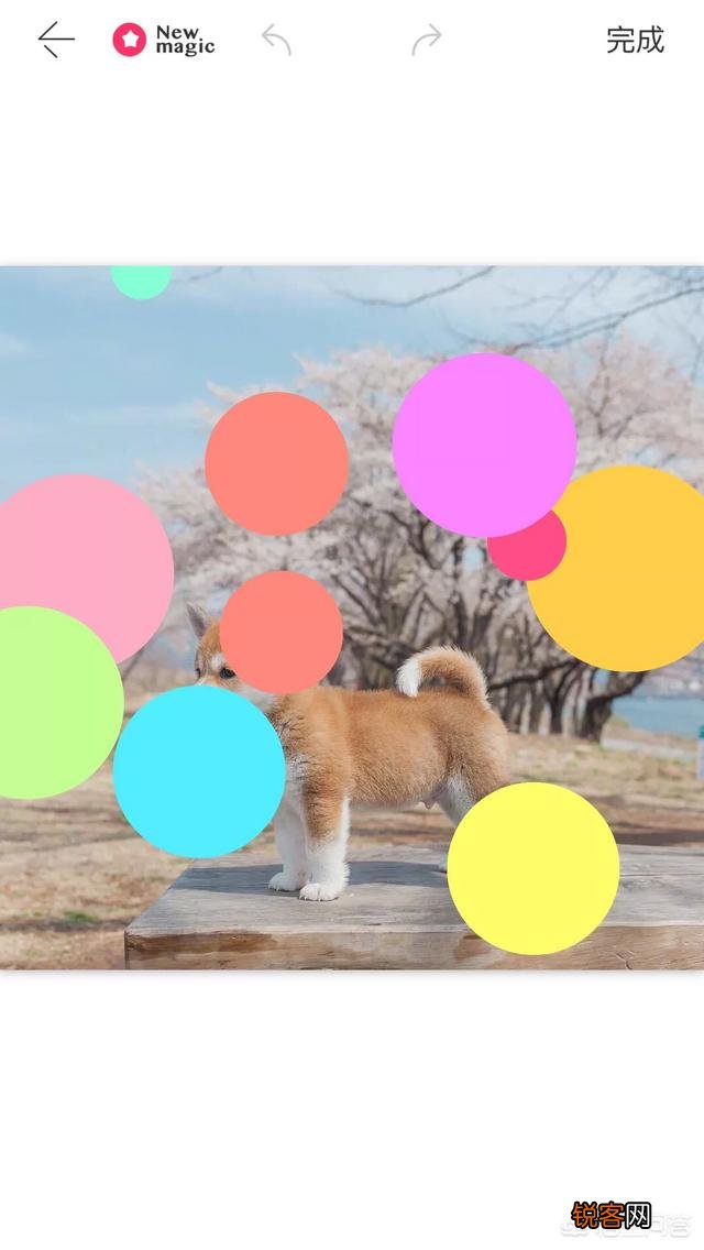 有什么软件可以把手机里的照片修改成自己想要的场景？