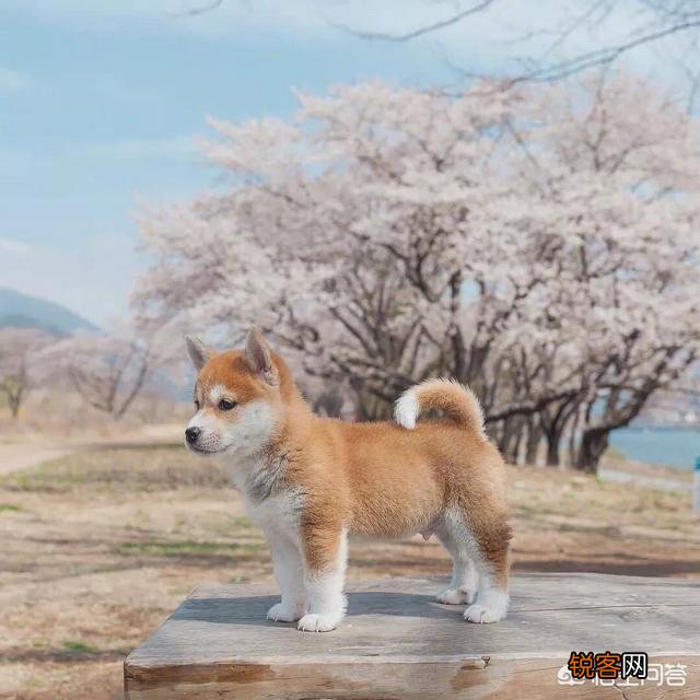 有什么软件可以把手机里的照片修改成自己想要的场景？