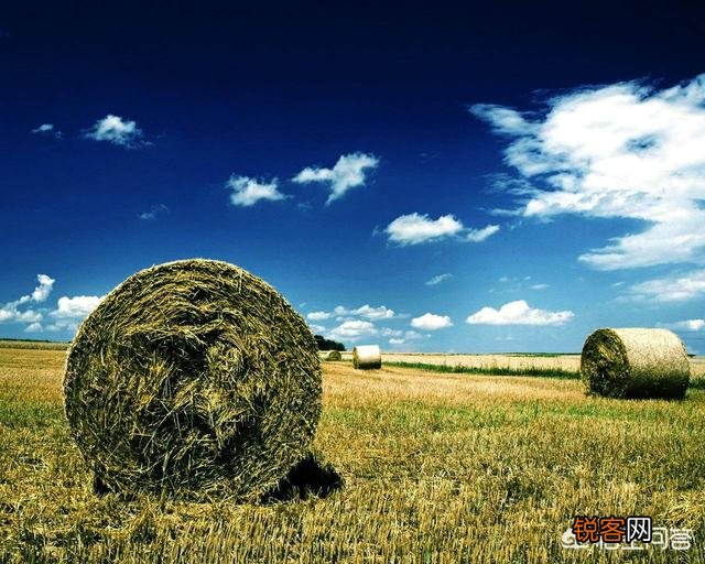 有什么软件可以把手机里的照片修改成自己想要的场景？