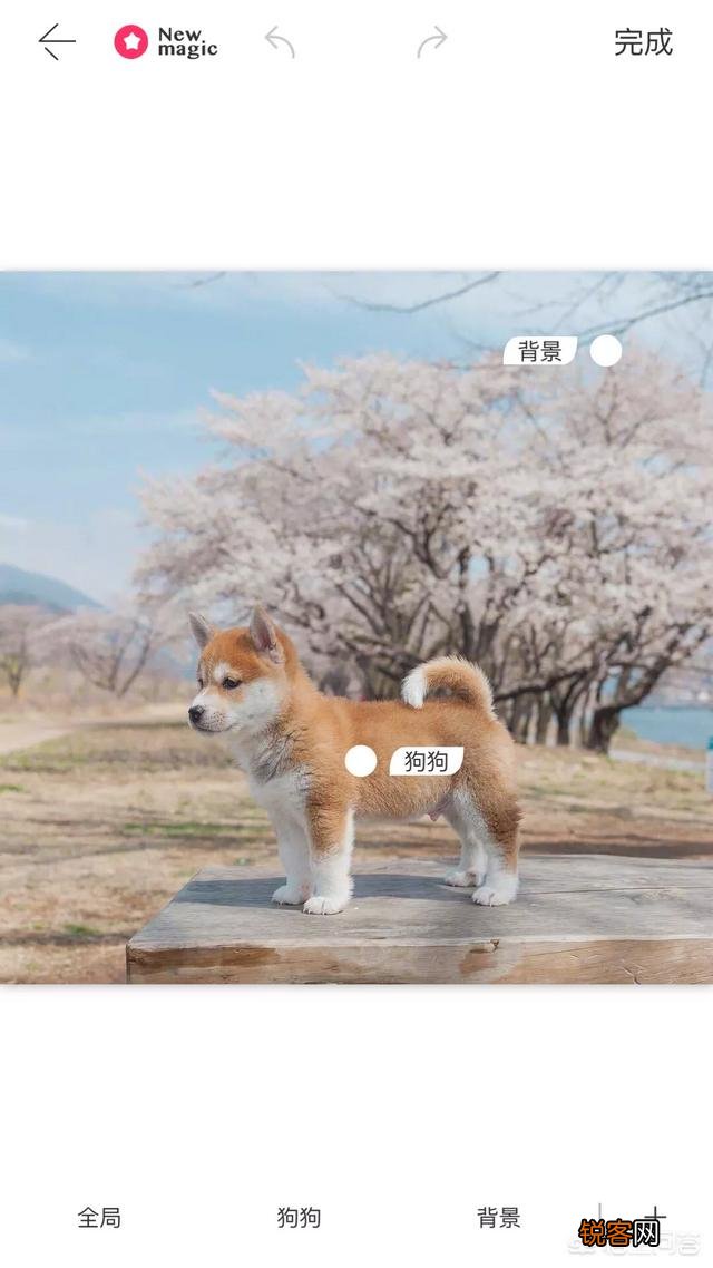 有什么软件可以把手机里的照片修改成自己想要的场景？