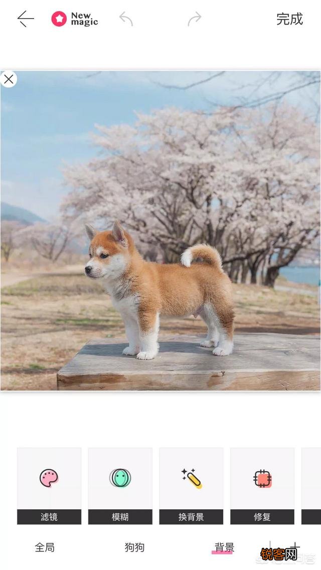 有什么软件可以把手机里的照片修改成自己想要的场景？