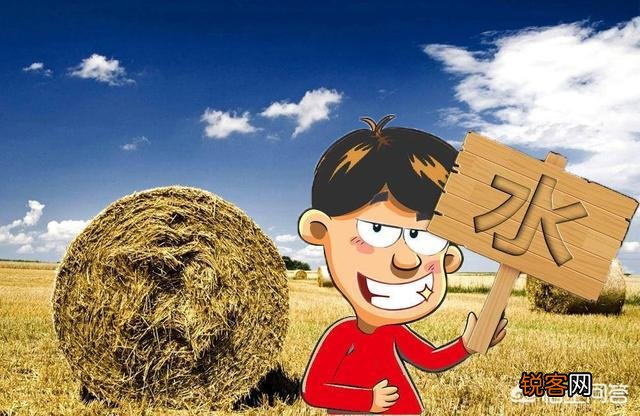 有什么软件可以把手机里的照片修改成自己想要的场景？