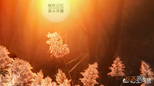 有什么软件可以在图片上加文字？还可以制作照片呢？